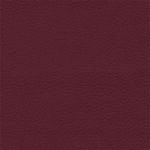 BeetRoot_Brisa-1.jpg