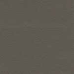 Golden Technology BRISA fabric upgrade Shiitake